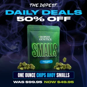Smalls: Chips Ahoy Hybrid flower 28 grams Daily Deal
